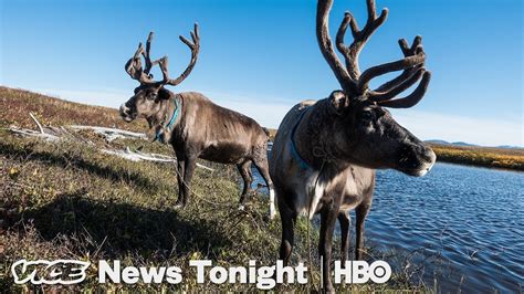 Drunken Forests In Alaska Are Another Sign Of Melting Permafrost Hbo