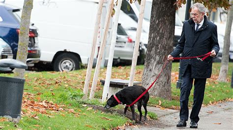 Hunde nutzen das bellen zur kommunikation unter artgenossen oder um sich bei ihren menschen bemerkbar zu machen. Van der Bellen trauert um Hündin Kita - oe3.ORF.at