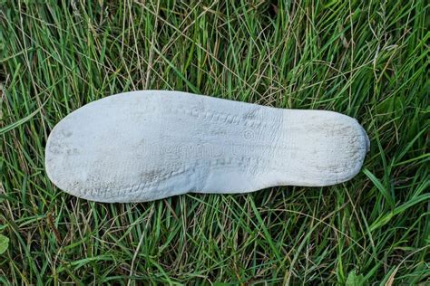 One White Dirty Plastic Shoe Insole Stock Photo Image Of Material