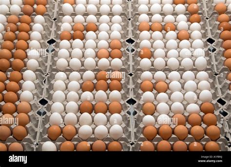 Stack Of Egg Trays Hi Res Stock Photography And Images Alamy