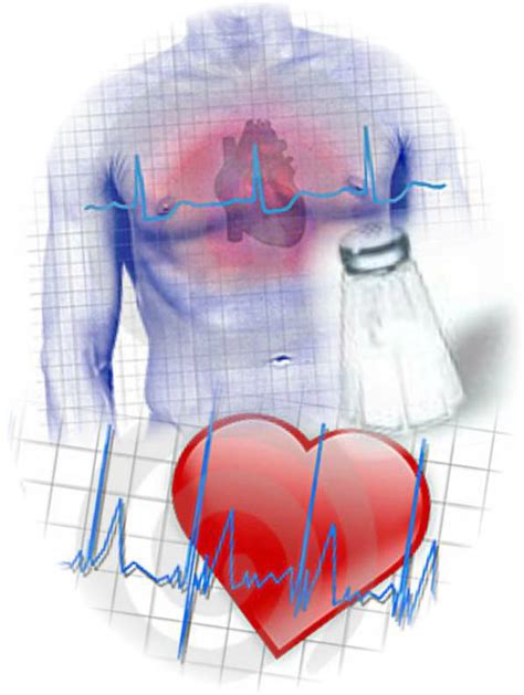 Tips Cardiológicos Factores De Riesgo Cardiovascular