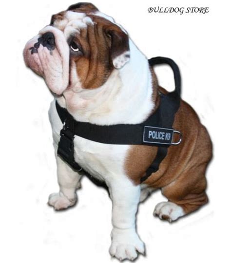 English bulldog muzzles, harnesses, collars and leads are handmade by our experienced professionals of high quality materials and with attention to each detail. Nylon Dog Harness with Patches for English Bulldog
