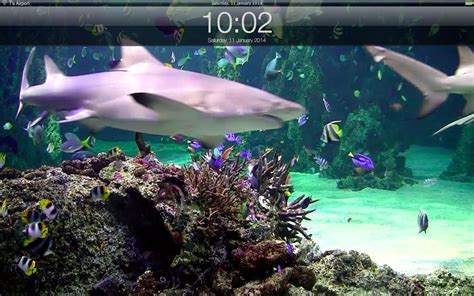 🔥 Download App Shopper Aquarium Live Lite Relaxing Screensaver Clock By