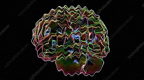 Rotating Brain Animation Stock Video Clip K0087640 Science Photo