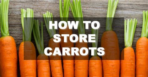 How To Store Carrots Step By Step