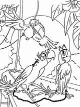 Rio Coloring Pages Cartoon Print sketch template