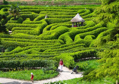 The Maze National Trust Owned Glendurgan Garden Cornwall Flickr