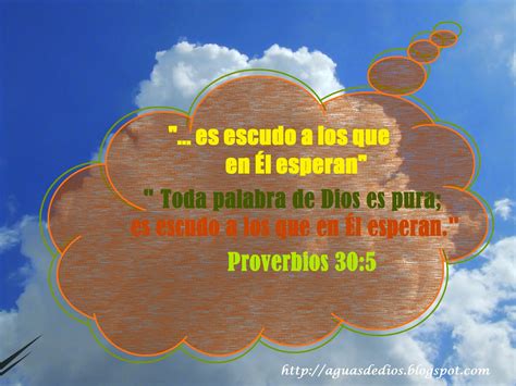 Compartamos La Palabra De Elohim Toda Palabra De Dios Es Pura Es