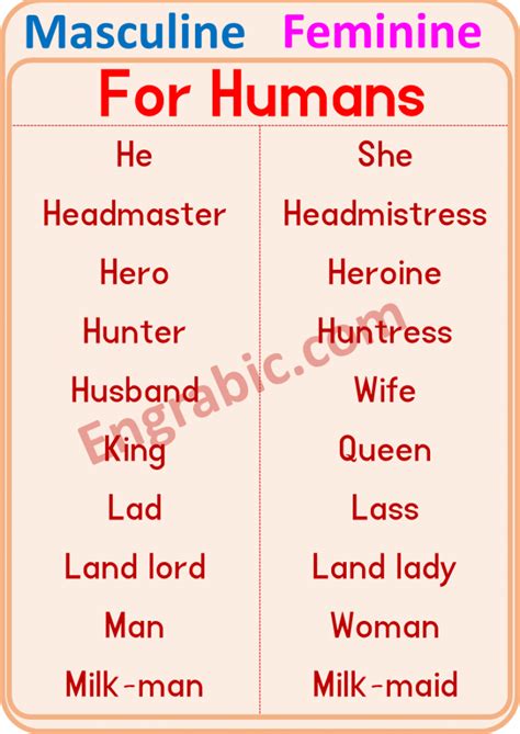 Masculine And Feminine 100 Examples Of Gender Of Nouns Engrabic