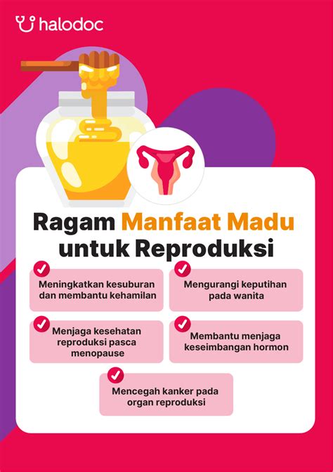 6 Manfaat Madu Untuk Kesehatan Reproduksi