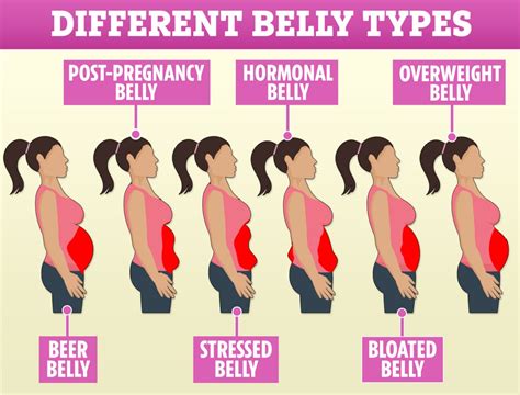 6 Types Of Stubborn Belly Fat How To Get Rid Of It