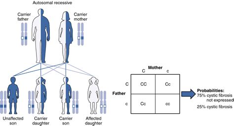 A recessive trait is expressed only in homozygous state in diploids as its effect is masked by presence of dominant allele in the heterozygous condition. Patterns of Inheritance · Anatomy and Physiology