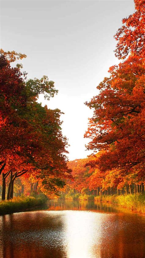 50 Iphone 6 Autumn Wallpaper