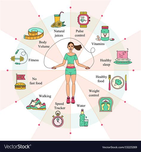 Weight Loss Diet Infographics Royalty Free Vector Image