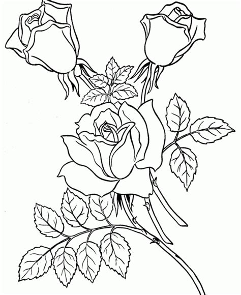 Descarga nuestros dibujos de flores para colorear grandes y diviertete llenandolas de vida. Dibujos para pintar de rosas. Dibujos para colorear de rosas