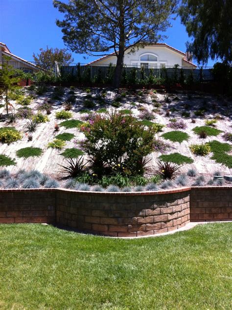 23 Best Ground Cover For Slopes Images On Pinterest Flowers Garden