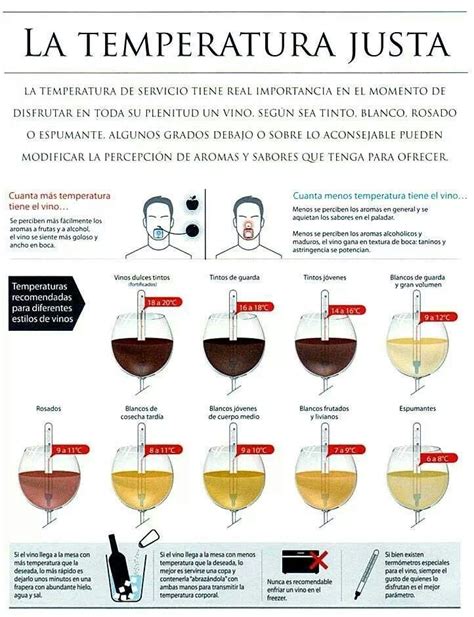 Infografia Temperatura Vino De Taninotanino Just Wine Wine And Beer