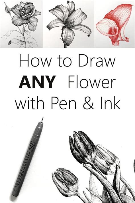 Easy Step By Step Guide For Drawing Flowers Ink Pen Art Ink Drawing