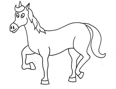 Funny Horse In Horses Coloring Page Netart