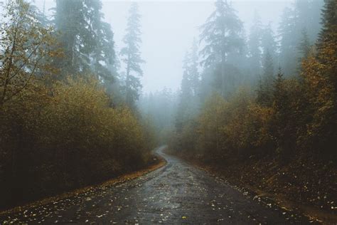 Forrestmankins Rainy Day Pictures Landscape Instagram
