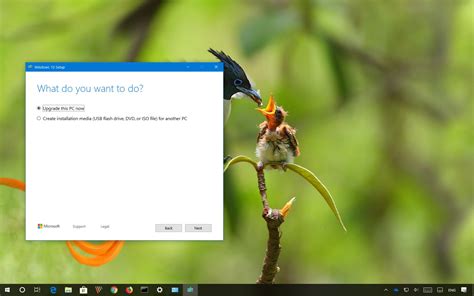 Media Creation Tool For Windows 10 Version 1903 Spotted But It Wont