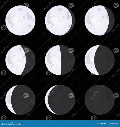 Fases Da Lua Lua Nova Lua Cheia Crescente Grupo De Illust Do Vetor