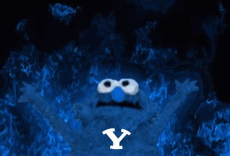 Elmo Byu Football Byu Elmo Byu Football Byu Elmo Fire Discover