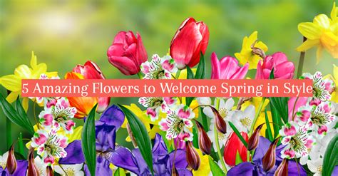 Welcome Images With Flowers