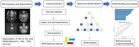 cancers free full text machine learning based on mri dwi radiomics features for prognostic