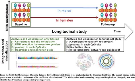 Integrative Approaches Of Dna Methylation Patterns According To Age Sex And Longitudinal