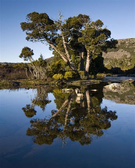 Pine Lake Tasmania Nature Inspiration Pine Lake Beautiful Places