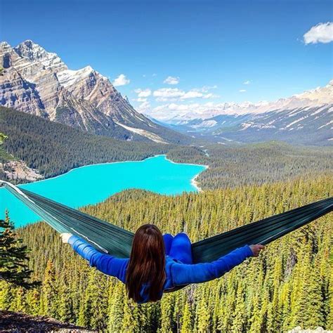 Peyto Lake Canada Places To Go Nature Adventure Places To See