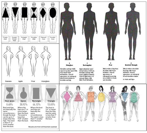 What Body Type Are You Musely