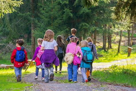 Forest Kindergartens Are Proving That Nature Is The Best Classroom