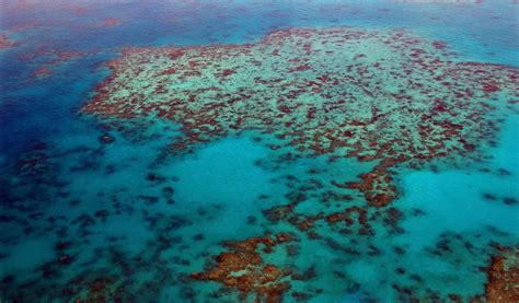 How To Dive The Great Barrier Reef Updated 2024