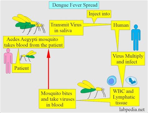 Microbiology Labpedia Net