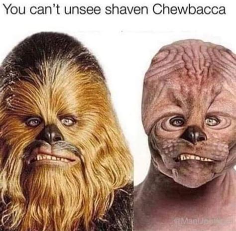 Shaven Chewbacca Funny Funny Star Wars Memes Star Wars Memes