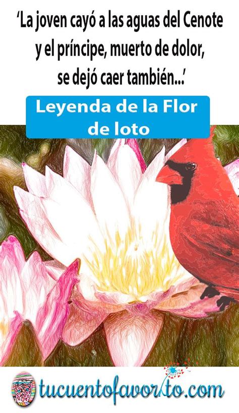 Conoce En Este Post La Leyenda De La Flor De Loto Kulturaupice