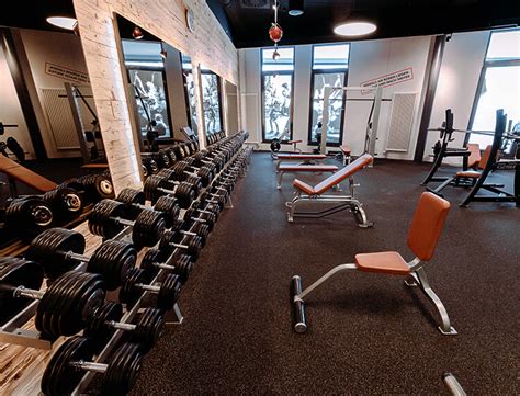 We did not find results for: Anamnesebogen Für Fitnessstudio Selber Erstellen ...