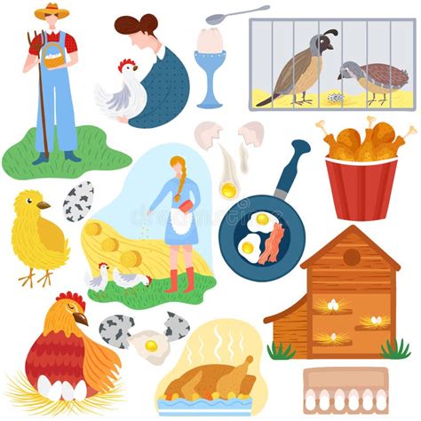 Poultry Farm Chicken Product Eggs And Meat Vector Illustration Stock