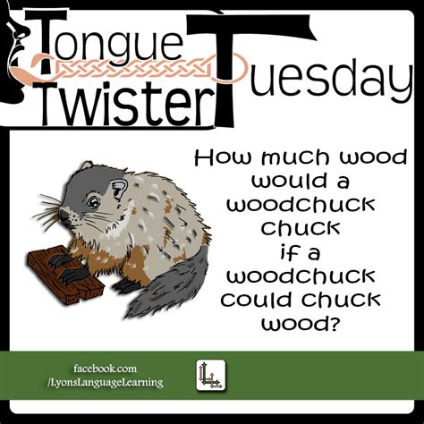 How Much Wood Would A Woodchuck Chuck By Lyonslanguagelearnin