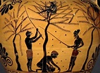 Il cibo dell'antica Grecia - Appunti di Storia