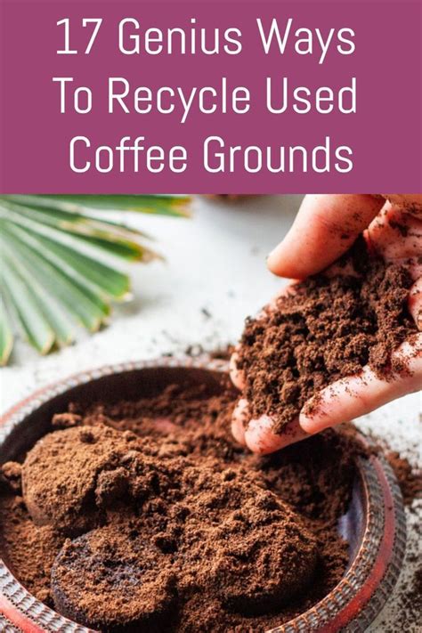 We did not find results for: 17 Genius Ways To Recycle Used Coffee Grounds in 2020 | Uses for coffee grounds, Coffee grounds ...