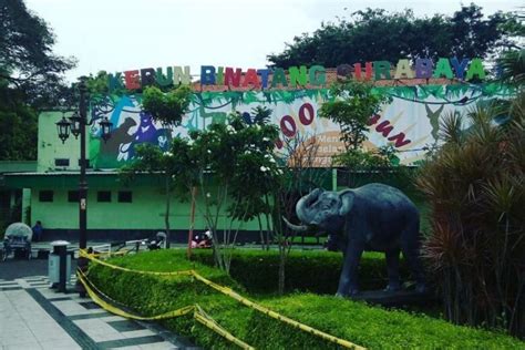 Destinasi Wisata Surabaya Zoo