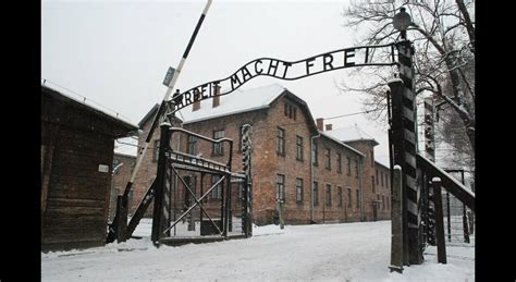 Auschwitz Fa Il Saluto Nazista Arrestata Lei Si Giustifica Era Uno