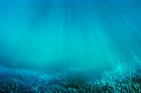 Underwater Stock Photo Download Image Now Istock