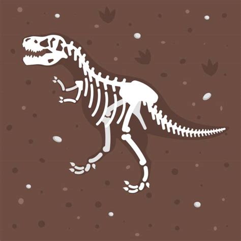 Best Dinosaur Fossil Illustrations Royalty Free Vector Graphics And Clip