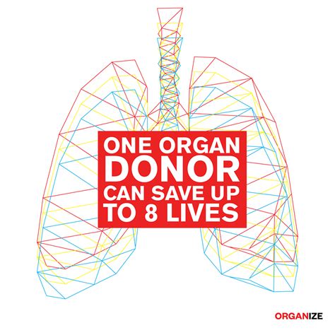 One Organ Donor Can Save Up To 8 Lives