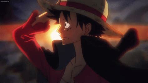 One Piece Luffy Gif One Piece Luffy Wano Discover Share Gifs My XXX