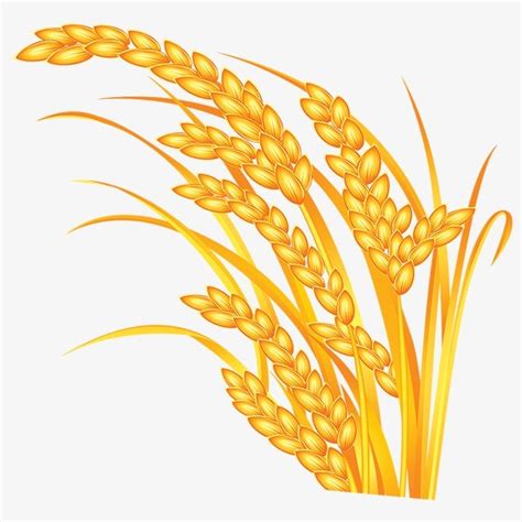 Crops Clipart Wheat Pictures On Cliparts Pub